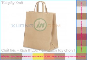 In túi kraft không in bảo vệ môi trường