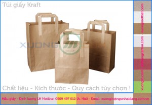In túi kraft không in bảo vệ môi trường