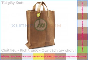 In túi kraft không in bảo vệ môi trường