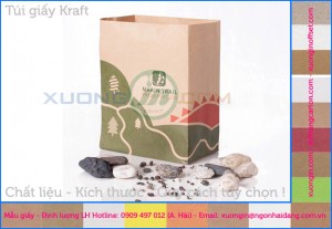 In túi kraft không in bảo vệ môi trường