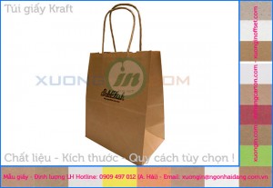 In túi kraft không in bảo vệ môi trường