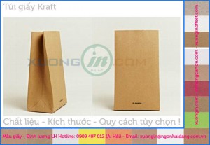 In túi kraft không in bảo vệ môi trường