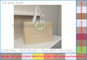 In túi kraft không in bảo vệ môi trường